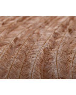 OSTRICH PLUMES - Tan